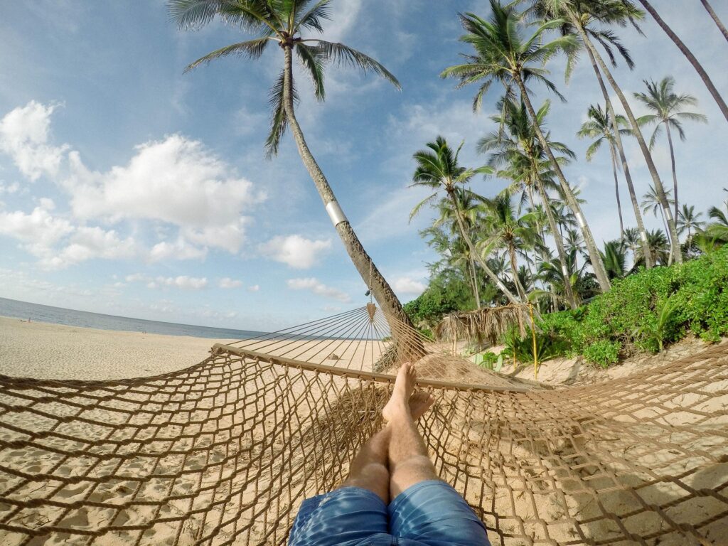 Cruise Vacation Planner